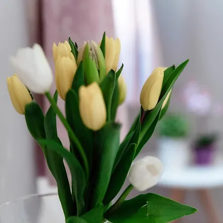 Apartamento Barbablue Flat - The House Of Travelers Como